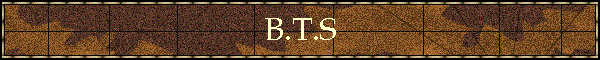B.T.S